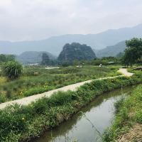 評論圖片 6