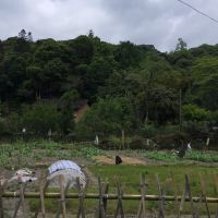 評論圖片 3