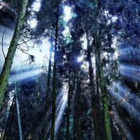 評論圖片 9