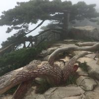 評論圖片 5