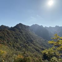 評論圖片 2