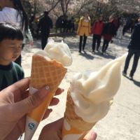 評論圖片 3