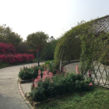 評論圖片 3