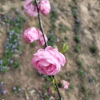 評論圖片 8