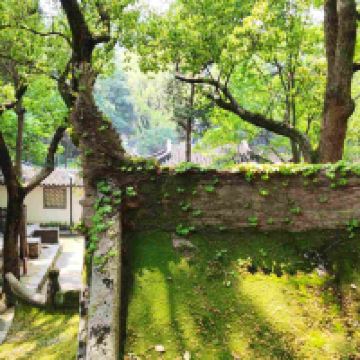 評論圖片 5