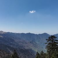 評論圖片 7