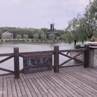 評論圖片 5
