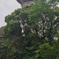 評論圖片 9