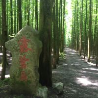 評論圖片 3
