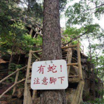 評論圖片 2