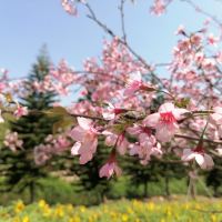 評論圖片 3