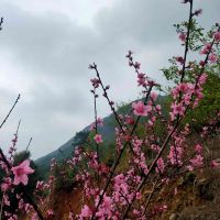 評論圖片 7