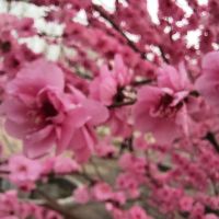 評論圖片 9