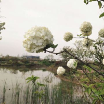 評論圖片 1