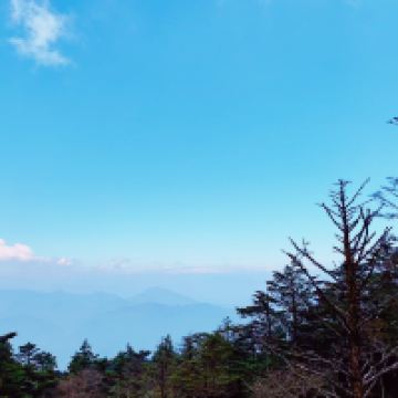 評論圖片 4