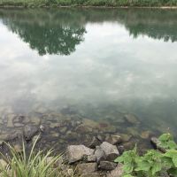 評論圖片 1