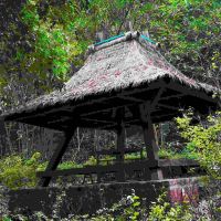 評論圖片 3
