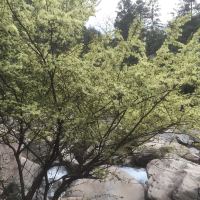 評論圖片 2