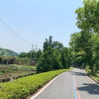 評論圖片 3