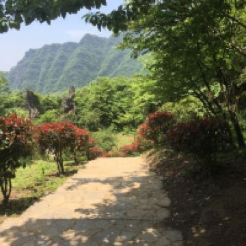 評論圖片 6