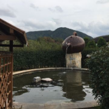 評論圖片 5