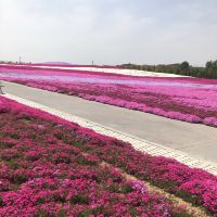 評論圖片 8