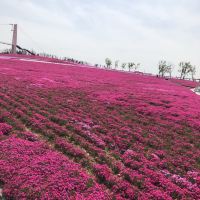評論圖片 7