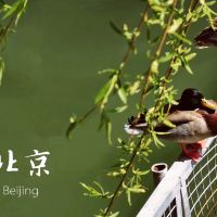 評論圖片 9
