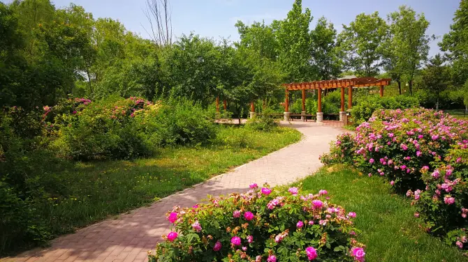 World Rose Theme Park, Daxing