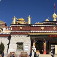 評論圖片 3