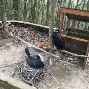 評論圖片 3