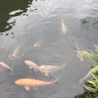 評論圖片 6