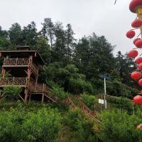 評論圖片 1