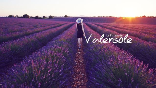 法國普羅旺斯薰衣草一日遊8人中文團阿維尼翁尼斯馬賽出發可包車