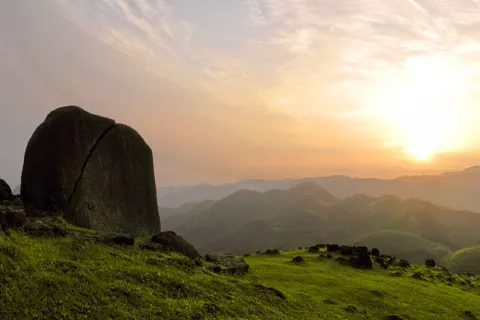 대용산 산림공원
