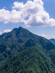 慶元縣巾子峰國家森林公園