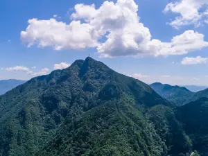 Jinzifeng Forest Park