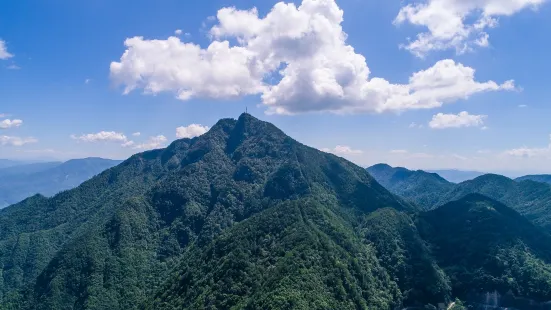 慶元縣巾子峰國家森林公園