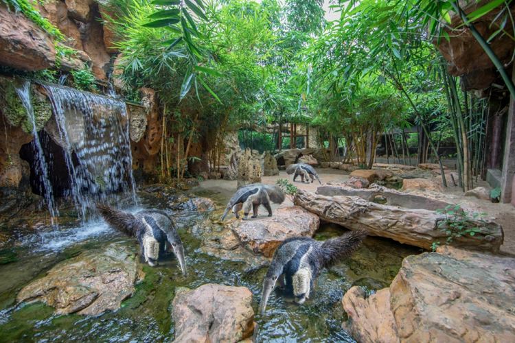 長鹿旅遊休博園