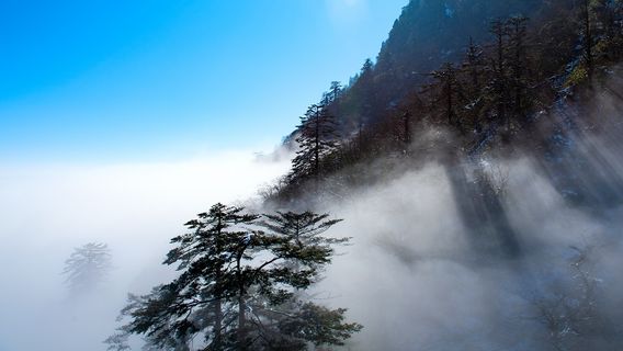 眉山日遊