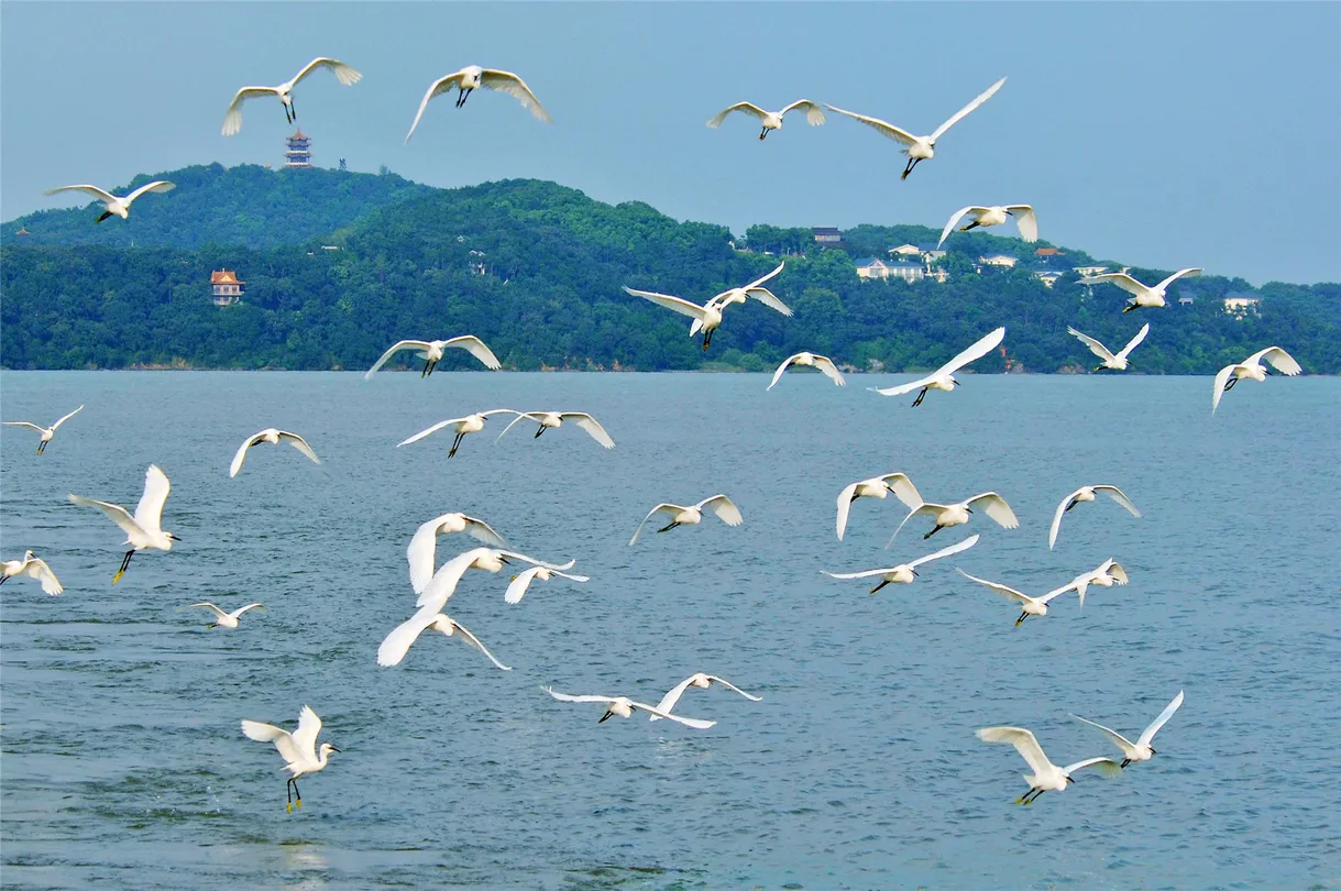 4_Tai Hu Yuantouzhu Scenic Spot