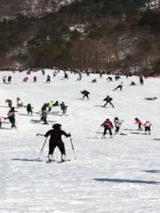 科右前旗雪村滑雪場