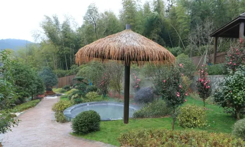 Julan Mountain Spring