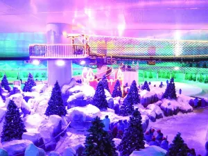 Snow Park