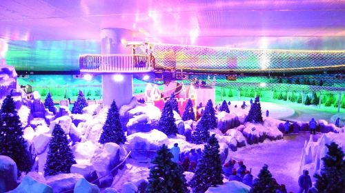 Shilin Ice and Snow Ocean World