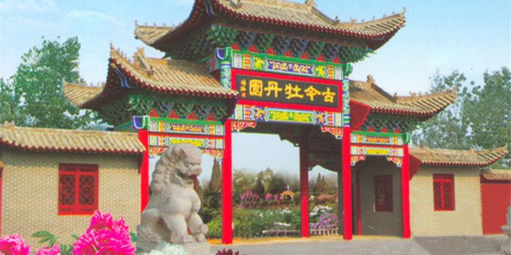 Gujin Garden