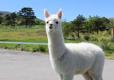 那須動物王國