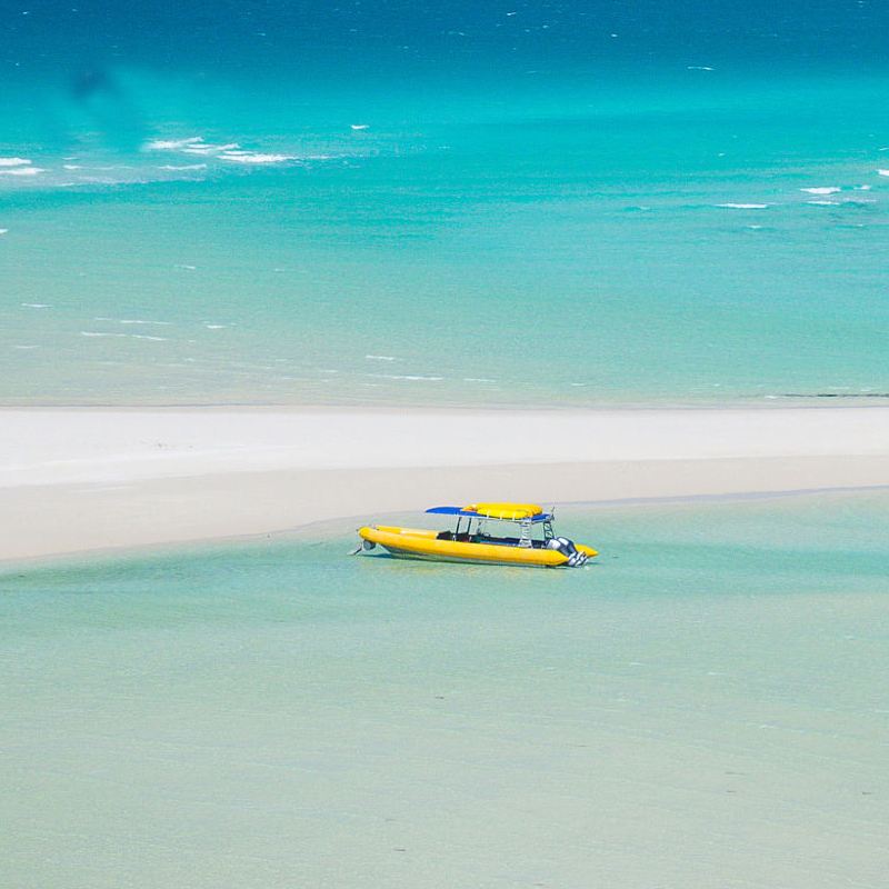 [픽업 포함] 호주 휘트선데이 제도 에어리 비치 + 화이트헤이븐 비치 당일 치기 여행