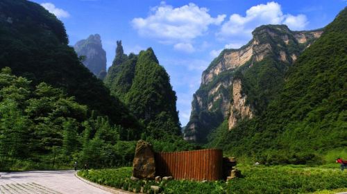 Three Gorges Bamboo Sea