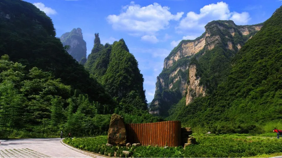 2_三峽竹海